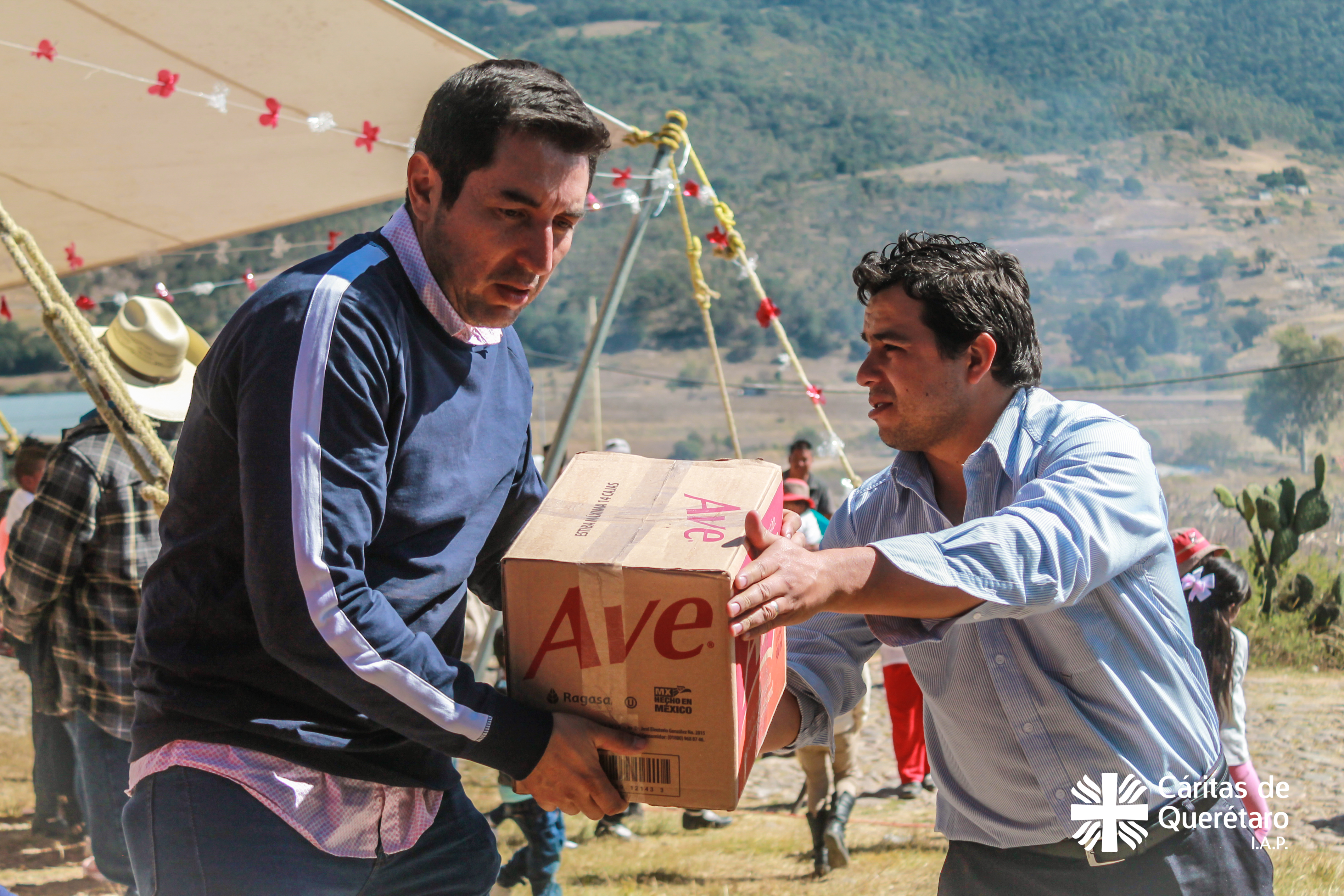 Imagen lateral derecha